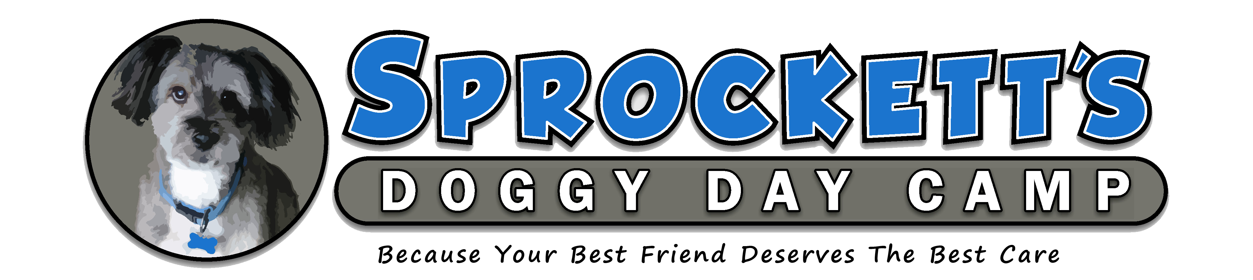 Sprockett's Doggy Day Camp